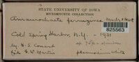 Image Associated With the Occurence